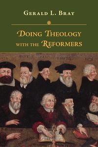 Cover image for Doing Theology with the Reformers