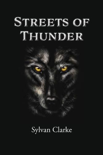 Cover image for Streets of Thunder