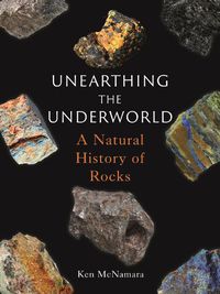 Cover image for Unearthing the Underworld