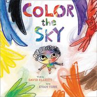 Cover image for Color the Sky