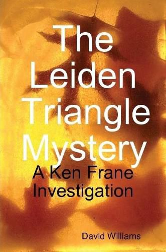 Cover image for The Leiden Triangle Mystery