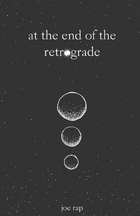 Cover image for at the end of the retrograde