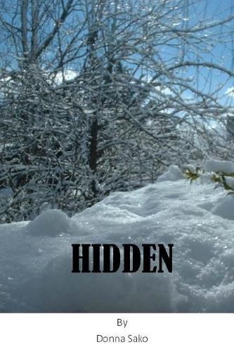 Cover image for Hidden