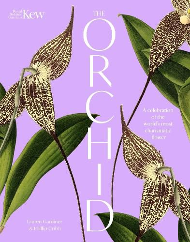 Cover image for The Orchid: Royal Botanic Gardens, Kew