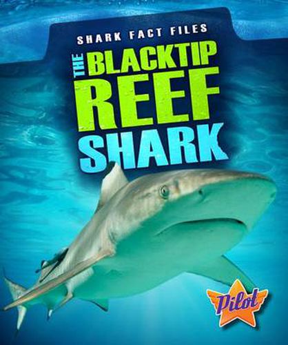Cover image for Blacktip Reef Shark
