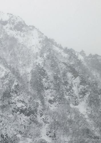 Cover image for Keiko Sasaoka: Presence