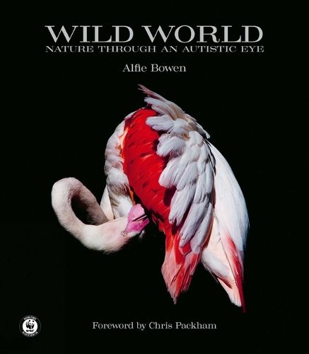 Cover image for Wild World