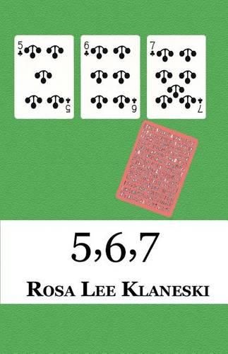 Cover image for 5,6,7: The Book of David
