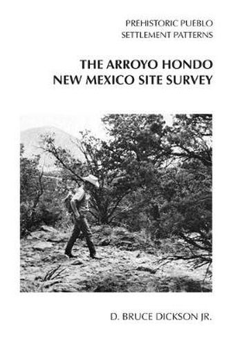 Cover image for Arroyo Hondo New Mexico Site Survey