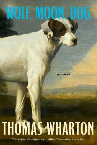 Cover image for Wolf, Moon, Dog