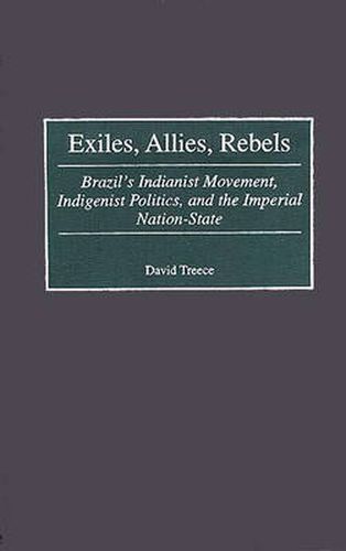 Cover image for Exiles, Allies, Rebels: Brazil's Indianist Movement, Indigenist Politics, and the Imperial Nation-State