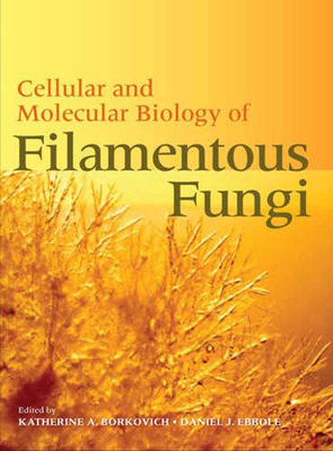 Cover image for Cellular and Molecular Biology of Filamentous Fungi