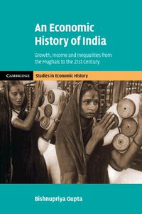 Cover image for An Economic History of India