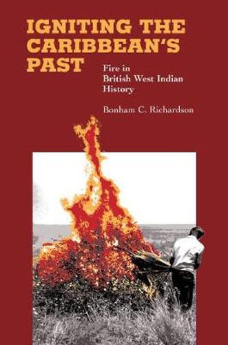 Cover image for Igniting the Caribbean's Past: Fire in British West Indian History