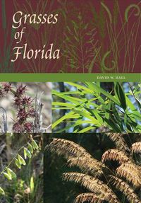 Cover image for Grasses of Florida