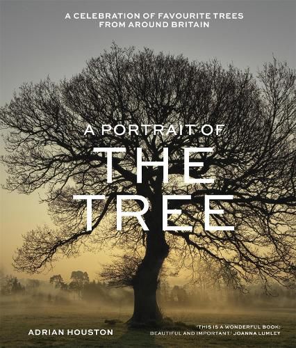 Cover image for A Portrait of the Tree: A celebration of favourite trees from around Britain