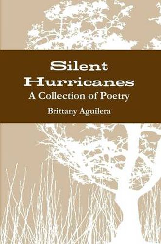 Cover image for Silent Hurricanes