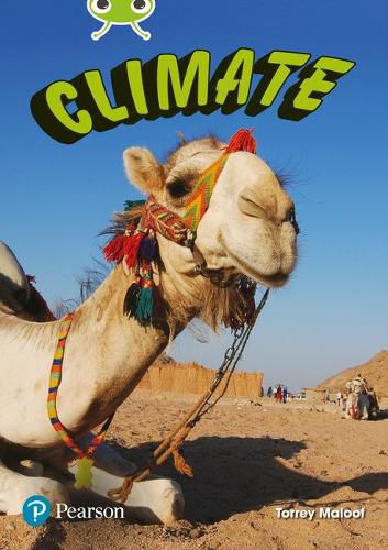 Cover image for Bug Club Independent Non Fiction Year Two Lime B Plus Climate