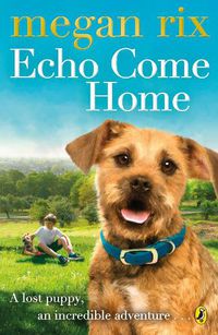 Cover image for Echo Come Home