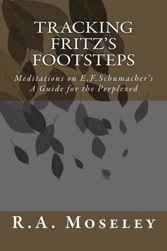 Cover image for Tracking Fritz's Footsteps: Meditations on E.F. Schumacher's A Guide for the Perplexed