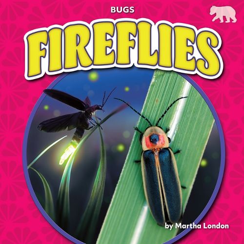 Cover image for Fireflies