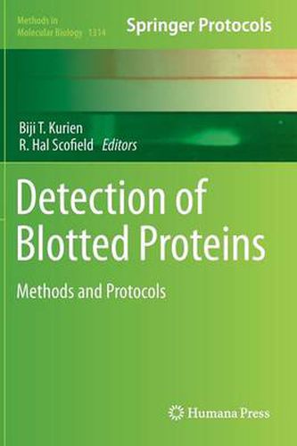 Cover image for Detection of Blotted Proteins: Methods and Protocols