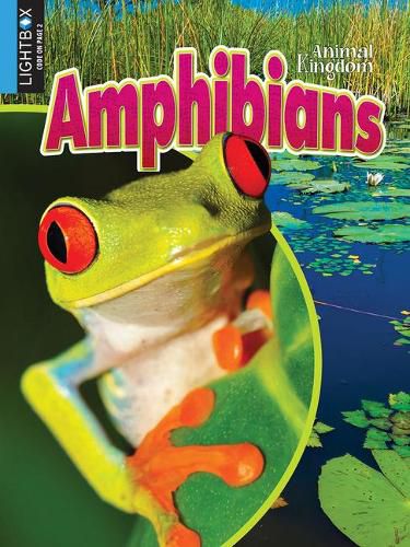 Cover image for Amphibians