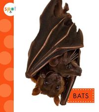 Cover image for Bats