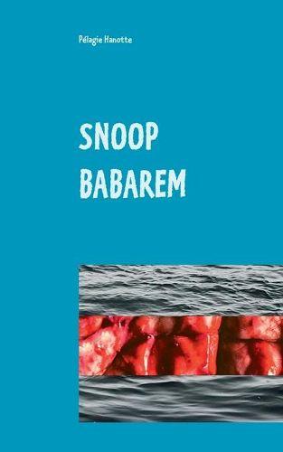 Cover image for Snoop Babarem