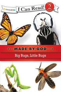 Cover image for Big Bugs, Little Bugs: Level 2