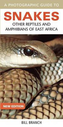 Cover image for Photographic Guide to Snakes, Other Reptiles and Amphibians of East Africa