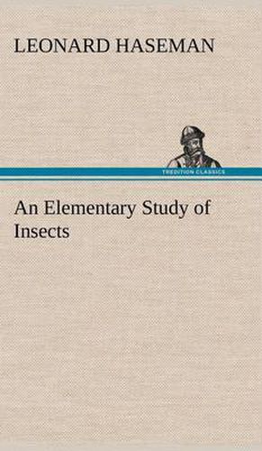 Cover image for An Elementary Study of Insects