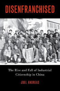 Cover image for Disenfranchised: The Rise and Fall of Industrial Citizenship in China