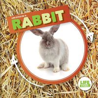 Cover image for Life Cycle of a Rabbit