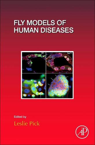 Cover image for Fly Models of Human Diseases