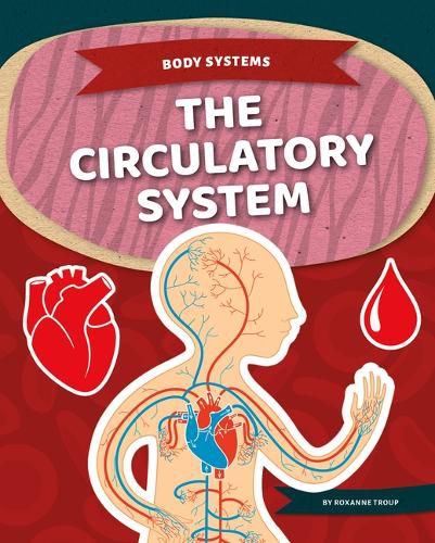 Cover image for The Circulatory System