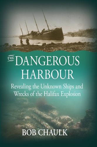 Cover image for The Dangerous Harbour