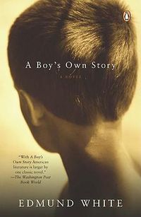 Cover image for A Boy's Own Story: A Novel