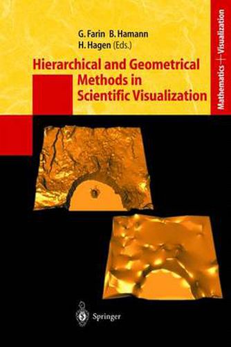 Cover image for Hierarchical and Geometrical Methods in Scientific Visualization