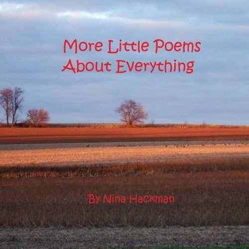 Cover image for More Little Poems About Everything