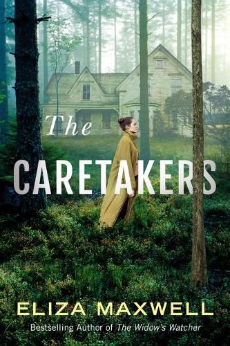 Cover image for The Caretakers