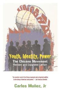 Cover image for Youth, Identity, Power: The Chicano Movement