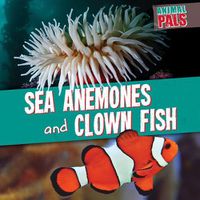 Cover image for Sea Anemones and Clown Fish