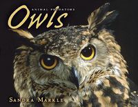 Cover image for Owls