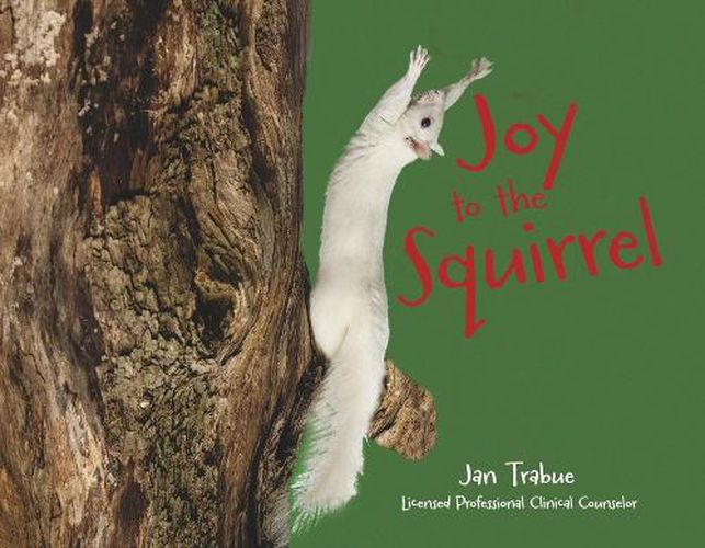 Cover image for Joy to the Squirrel