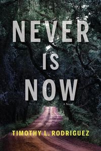 Cover image for Never is Now