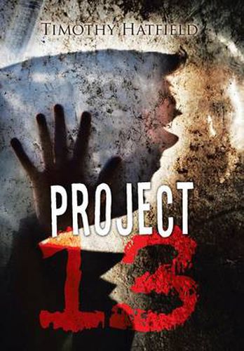 Cover image for Project 13