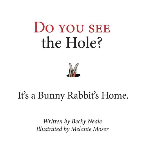 Cover image for Do You See the Hole?