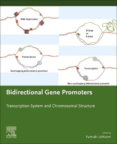 Cover image for Bidirectional Gene Promoters