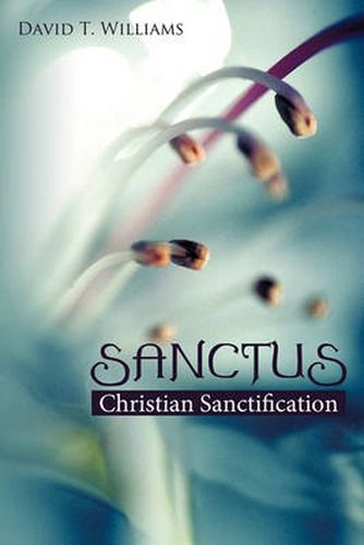 Cover image for Sanctus: Christian Sanctification